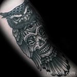 Фото тату сова с черепом 15.10.2018 №027 - owl tattoo with skull - tatufoto.com