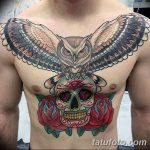 Фото тату сова с черепом 15.10.2018 №030 - owl tattoo with skull - tatufoto.com