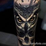 Фото тату сова с черепом 15.10.2018 №034 - owl tattoo with skull - tatufoto.com