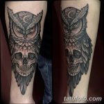 Фото тату сова с черепом 15.10.2018 №039 - owl tattoo with skull - tatufoto.com