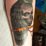 Фото тату сова с черепом 15.10.2018 №041 - owl tattoo with skull - tatufoto.com