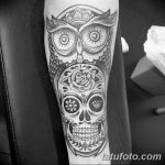 Фото тату сова с черепом 15.10.2018 №042 - owl tattoo with skull - tatufoto.com