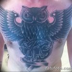 Фото тату сова с черепом 15.10.2018 №044 - owl tattoo with skull - tatufoto.com