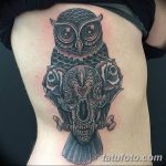 Фото тату сова с черепом 15.10.2018 №048 - owl tattoo with skull - tatufoto.com
