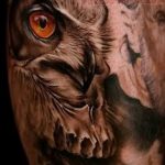 Фото тату сова с черепом 15.10.2018 №053 - owl tattoo with skull - tatufoto.com