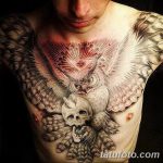 Фото тату сова с черепом 15.10.2018 №067 - owl tattoo with skull - tatufoto.com