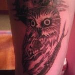 Фото тату сова с черепом 15.10.2018 №069 - owl tattoo with skull - tatufoto.com