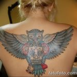 Фото тату сова с черепом 15.10.2018 №071 - owl tattoo with skull - tatufoto.com