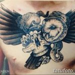 Фото тату сова с черепом 15.10.2018 №077 - owl tattoo with skull - tatufoto.com
