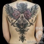 Фото тату сова с черепом 15.10.2018 №080 - owl tattoo with skull - tatufoto.com