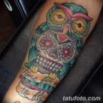 Фото тату сова с черепом 15.10.2018 №083 - owl tattoo with skull - tatufoto.com