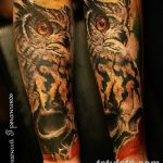 Фото тату сова с черепом 15.10.2018 №087 - owl tattoo with skull - tatufoto.com