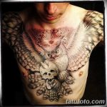 Фото тату сова с черепом 15.10.2018 №089 - owl tattoo with skull - tatufoto.com