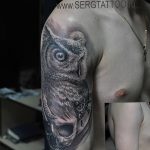 Фото тату сова с черепом 15.10.2018 №091 - owl tattoo with skull - tatufoto.com