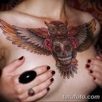 Фото тату сова с черепом 15.10.2018 №094 - owl tattoo with skull - tatufoto.com