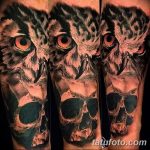 Фото тату сова с черепом 15.10.2018 №104 - owl tattoo with skull - tatufoto.com