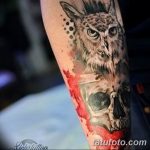 Фото тату сова с черепом 15.10.2018 №111 - owl tattoo with skull - tatufoto.com