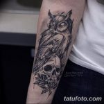 Фото тату сова с черепом 15.10.2018 №113 - owl tattoo with skull - tatufoto.com