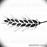 Фото эскиз для тату колос пшеницы 23.10.2018 №006 - wheat tattoo sketch - tatufoto.com