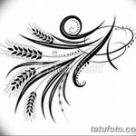 Фото эскиз для тату колос пшеницы 23.10.2018 №009 - wheat tattoo sketch - tatufoto.com