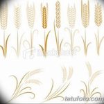 Фото эскиз для тату колос пшеницы 23.10.2018 №015 - wheat tattoo sketch - tatufoto.com