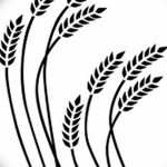 Фото эскиз для тату колос пшеницы 23.10.2018 №017 - wheat tattoo sketch - tatufoto.com