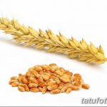 Фото эскиз для тату колос пшеницы 23.10.2018 №020 - wheat tattoo sketch - tatufoto.com