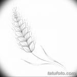 Фото эскиз для тату колос пшеницы 23.10.2018 №023 - wheat tattoo sketch - tatufoto.com