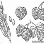 Фото эскиз для тату колос пшеницы 23.10.2018 №025 - wheat tattoo sketch - tatufoto.com