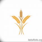 Фото эскиз для тату колос пшеницы 23.10.2018 №028 - wheat tattoo sketch - tatufoto.com