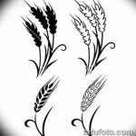 Коллаж из четырех черно-белых эскизов татуировок с колосьями пшеницы, выполненных в разных стилях. Идеально для выбора подходящего варианта.