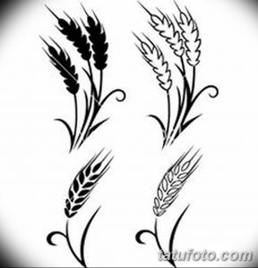 Коллаж из четырех черно-белых эскизов татуировок с колосьями пшеницы, выполненных в разных стилях. Идеально для выбора подходящего варианта.