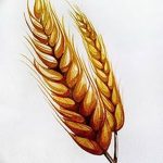 Фотография реалистичной татуировки с изображением двух золотых колосьев пшеницы. Детализированный рисунок, имитирующий текстуру зерна и солнечный свет.