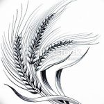 Черно-белый рисунок татуировки с колосьями пшеницы, выполненный тонкими линиями. Идеальный эскиз для минималистичной тату на предплечье или лопатке.