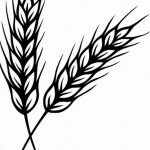 Фото эскиз для тату колос пшеницы 23.10.2018 №062 - wheat tattoo sketch - tatufoto.com