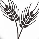 Фото эскиз для тату колос пшеницы 23.10.2018 №063 - wheat tattoo sketch - tatufoto.com