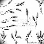 Фото эскиз для тату колос пшеницы 23.10.2018 №064 - wheat tattoo sketch - tatufoto.com