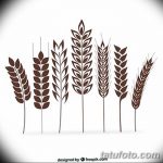 Фото эскиз для тату колос пшеницы 23.10.2018 №069 - wheat tattoo sketch - tatufoto.com
