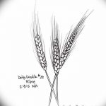 Фото эскиз для тату колос пшеницы 23.10.2018 №072 - wheat tattoo sketch - tatufoto.com