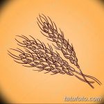 Фото эскиз для тату колос пшеницы 23.10.2018 №079 - wheat tattoo sketch - tatufoto.com
