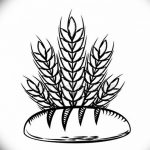 Фото эскиз для тату колос пшеницы 23.10.2018 №081 - wheat tattoo sketch - tatufoto.com