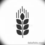 Фото эскиз для тату колос пшеницы 23.10.2018 №084 - wheat tattoo sketch - tatufoto.com