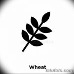Фото эскиз для тату колос пшеницы 23.10.2018 №086 - wheat tattoo sketch - tatufoto.com