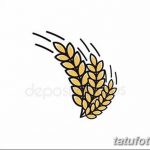 Фото эскиз для тату колос пшеницы 23.10.2018 №087 - wheat tattoo sketch - tatufoto.com
