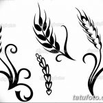Фото эскиз для тату колос пшеницы 23.10.2018 №089 - wheat tattoo sketch - tatufoto.com