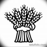 Фото эскиз для тату колос пшеницы 23.10.2018 №094 - wheat tattoo sketch - tatufoto.com