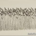 Фото эскиз для тату колос пшеницы 23.10.2018 №098 - wheat tattoo sketch - tatufoto.com