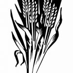 Фото эскиз для тату колос пшеницы 23.10.2018 №101 - wheat tattoo sketch - tatufoto.com