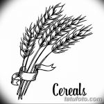 Фото эскиз для тату колос пшеницы 23.10.2018 №103 - wheat tattoo sketch - tatufoto.com