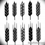 Фото эскиз для тату колос пшеницы 23.10.2018 №104 - wheat tattoo sketch - tatufoto.com